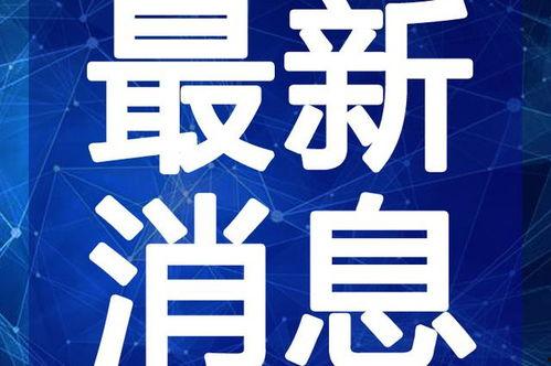 莱州小言最新视频爆料,最新视频爆料背后的惊人真相